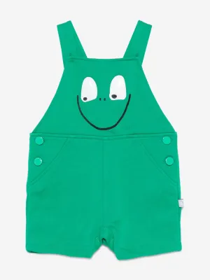 Baby Boys Frog Dungarees in Green