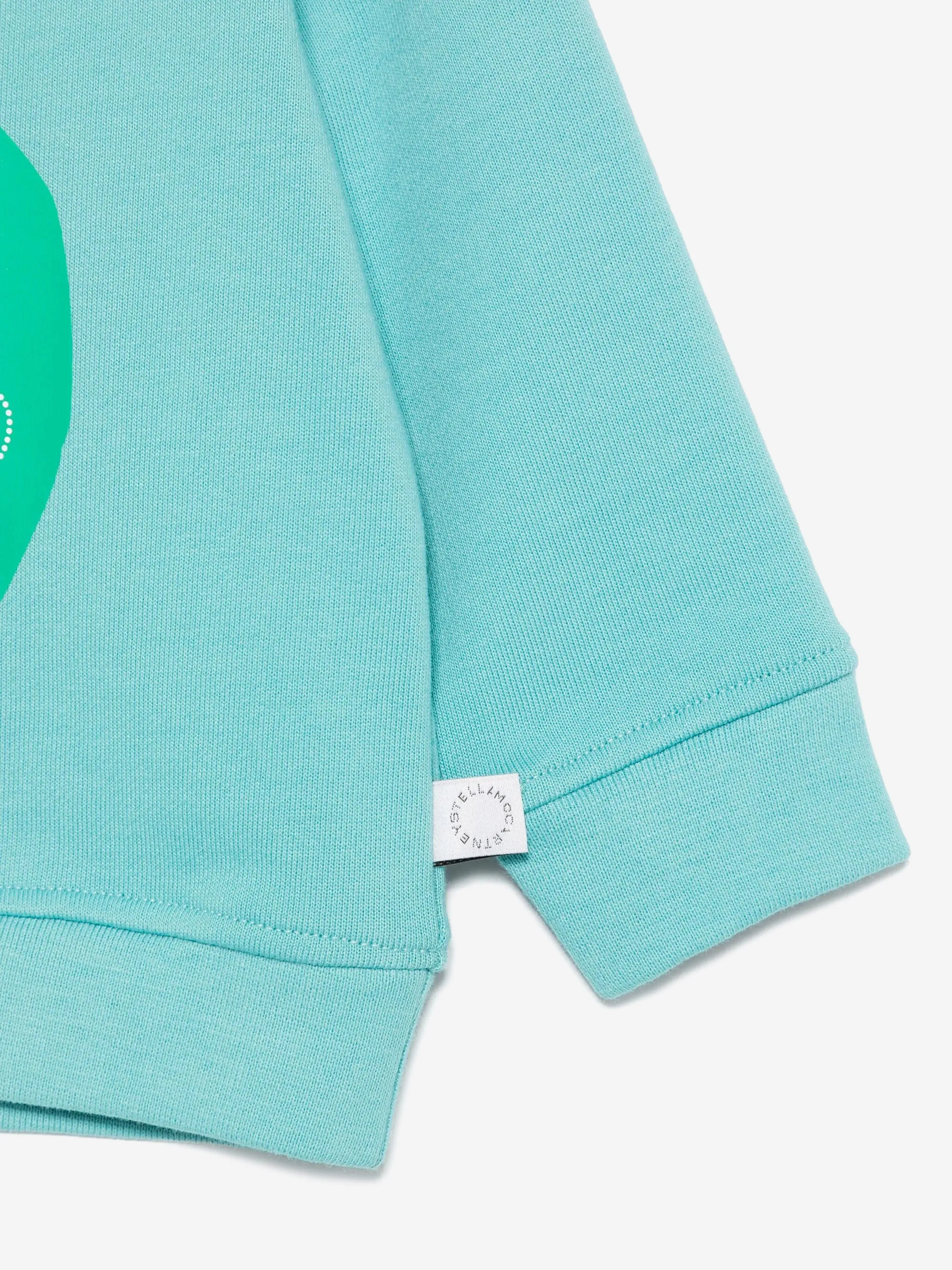 Baby Boys Frog Logo Sweatshirt in Blue