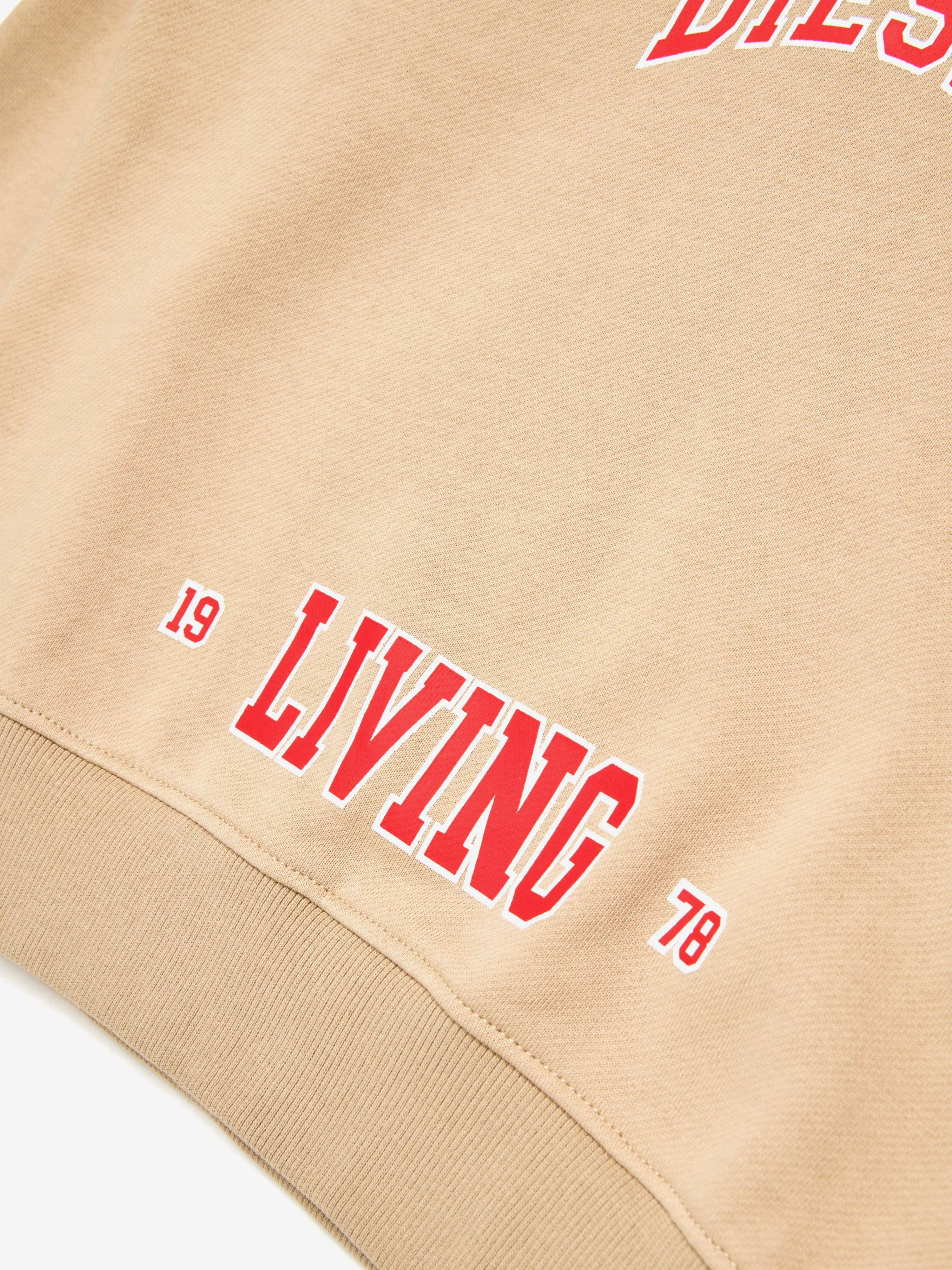 Boys Collegiate Logo Hoodie in Beige