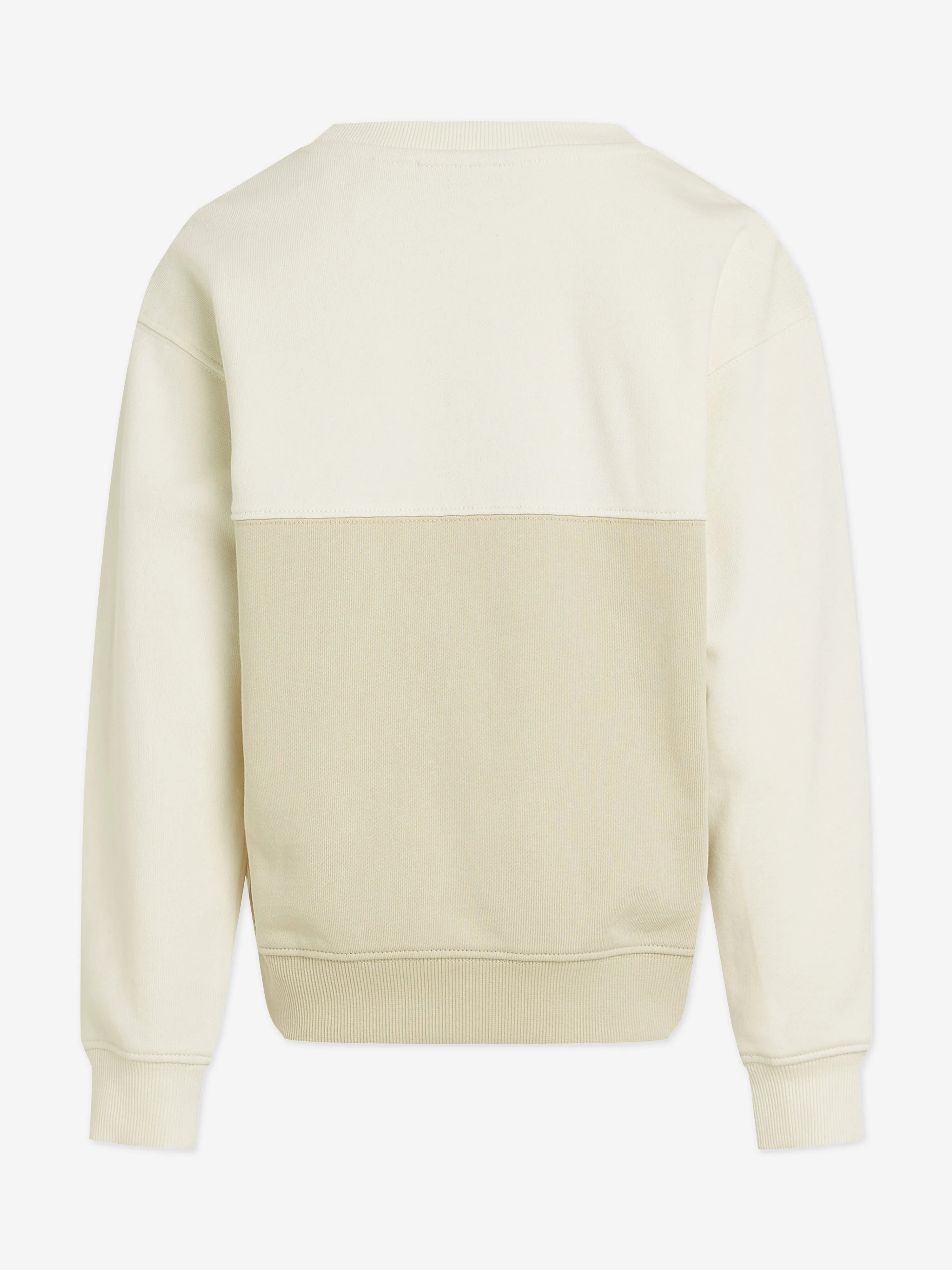 Boys Colourblock Sweatshirt in Beige