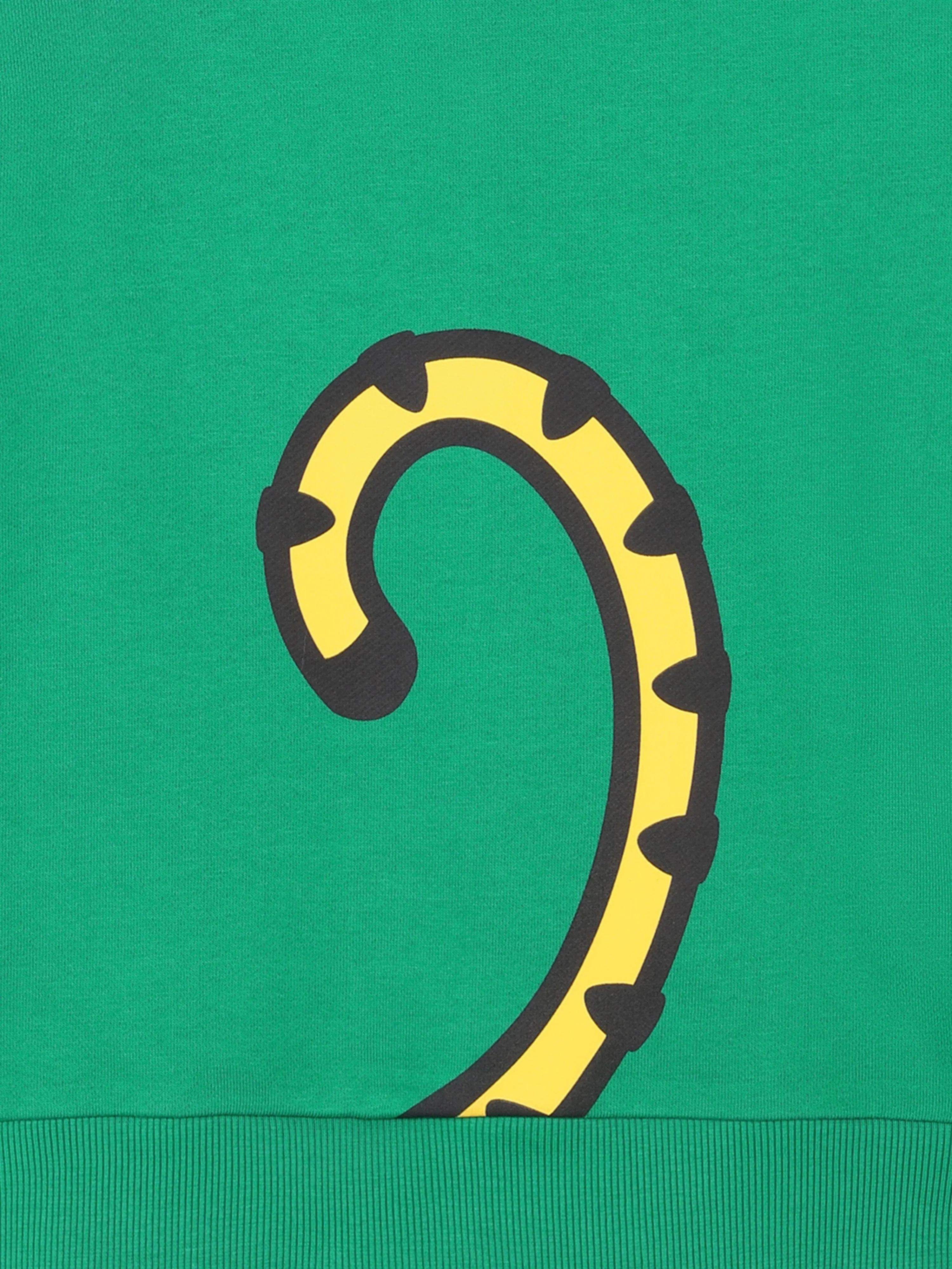 Boys Kotora Sweatshirt in Green