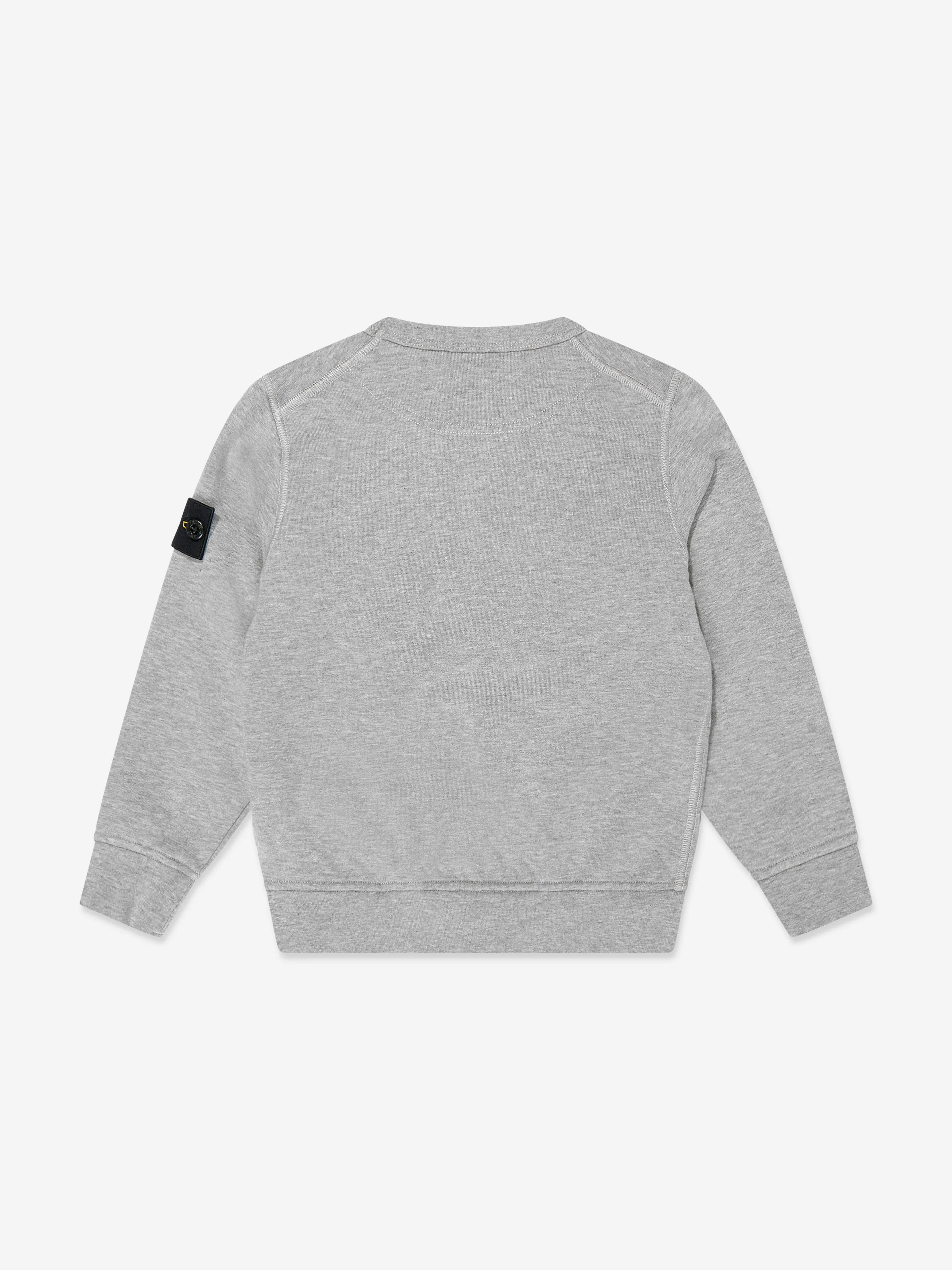 Boys Logo Sweatshirt in Grey