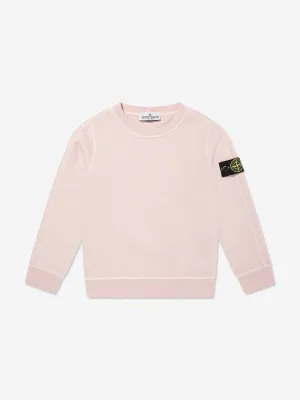 Boys Logo Sweatshirt in Pink