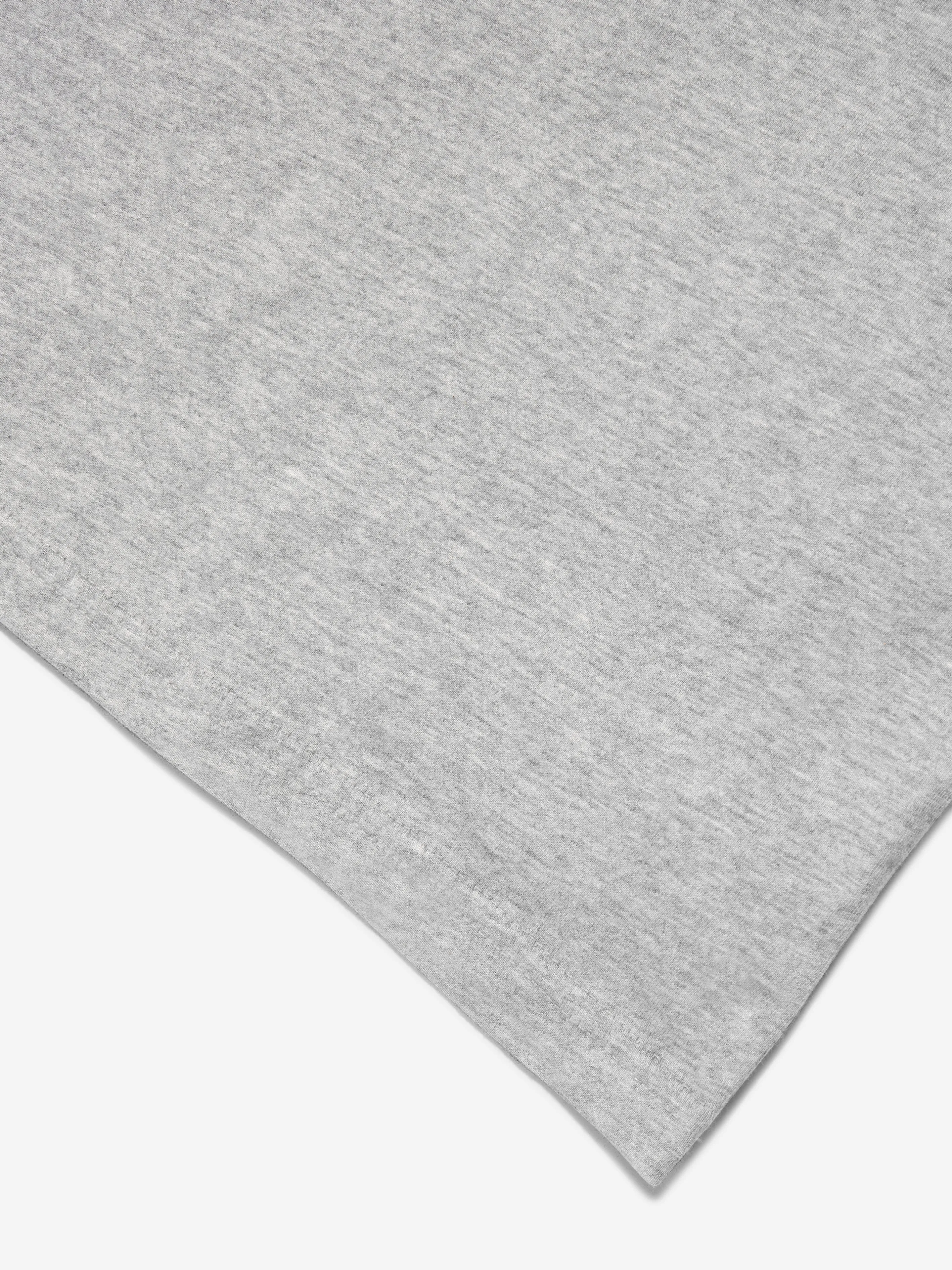 Boys Logo T-Shirt in Grey