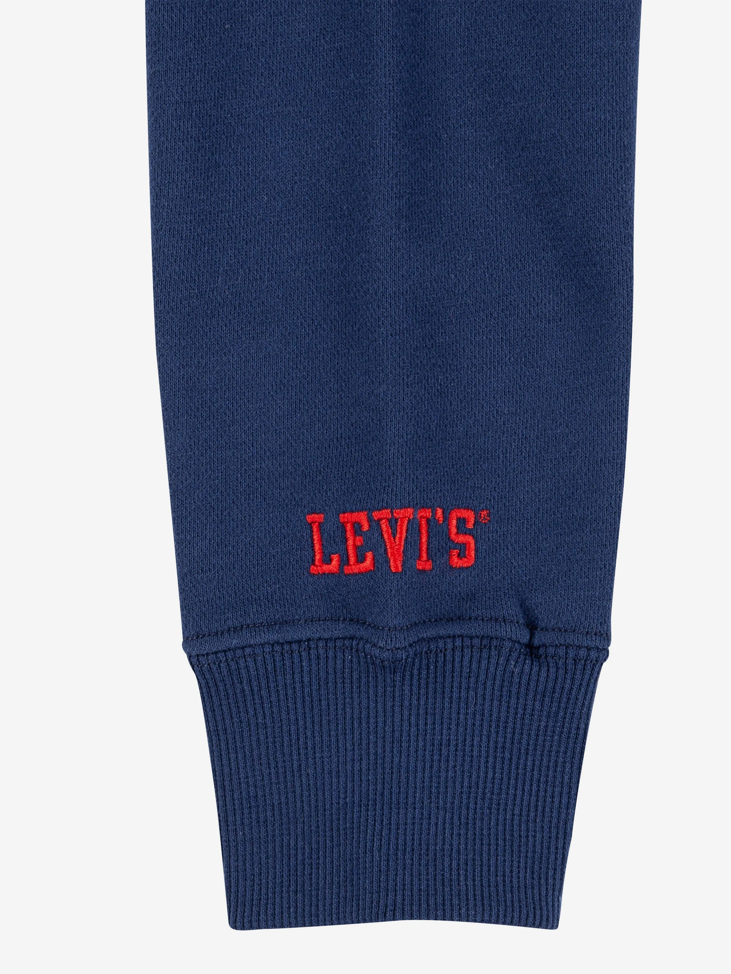 Boys Prep Sport Hoodie in Navy