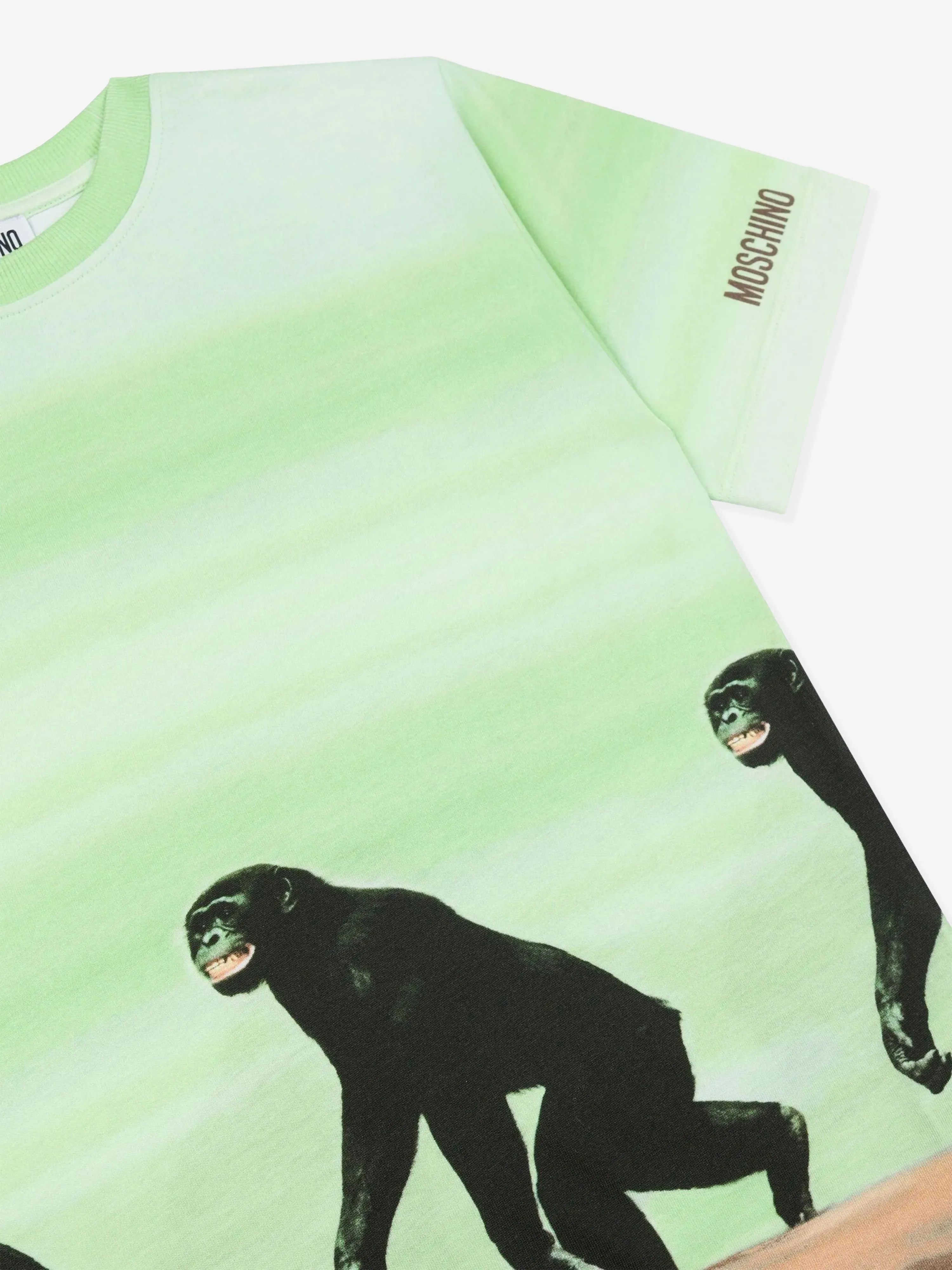 Boys Striped Monkey Print T-Shirt in Green