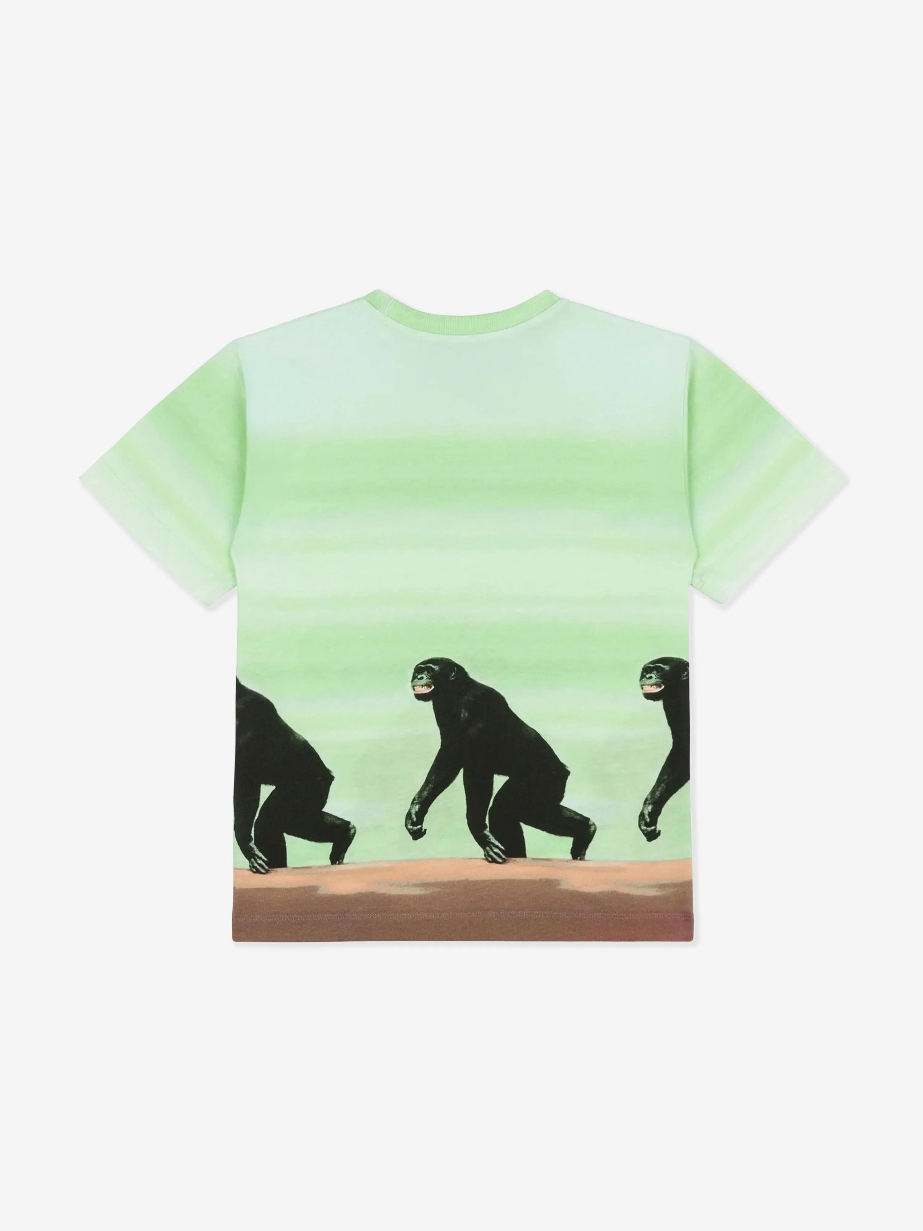 Boys Striped Monkey Print T-Shirt in Green