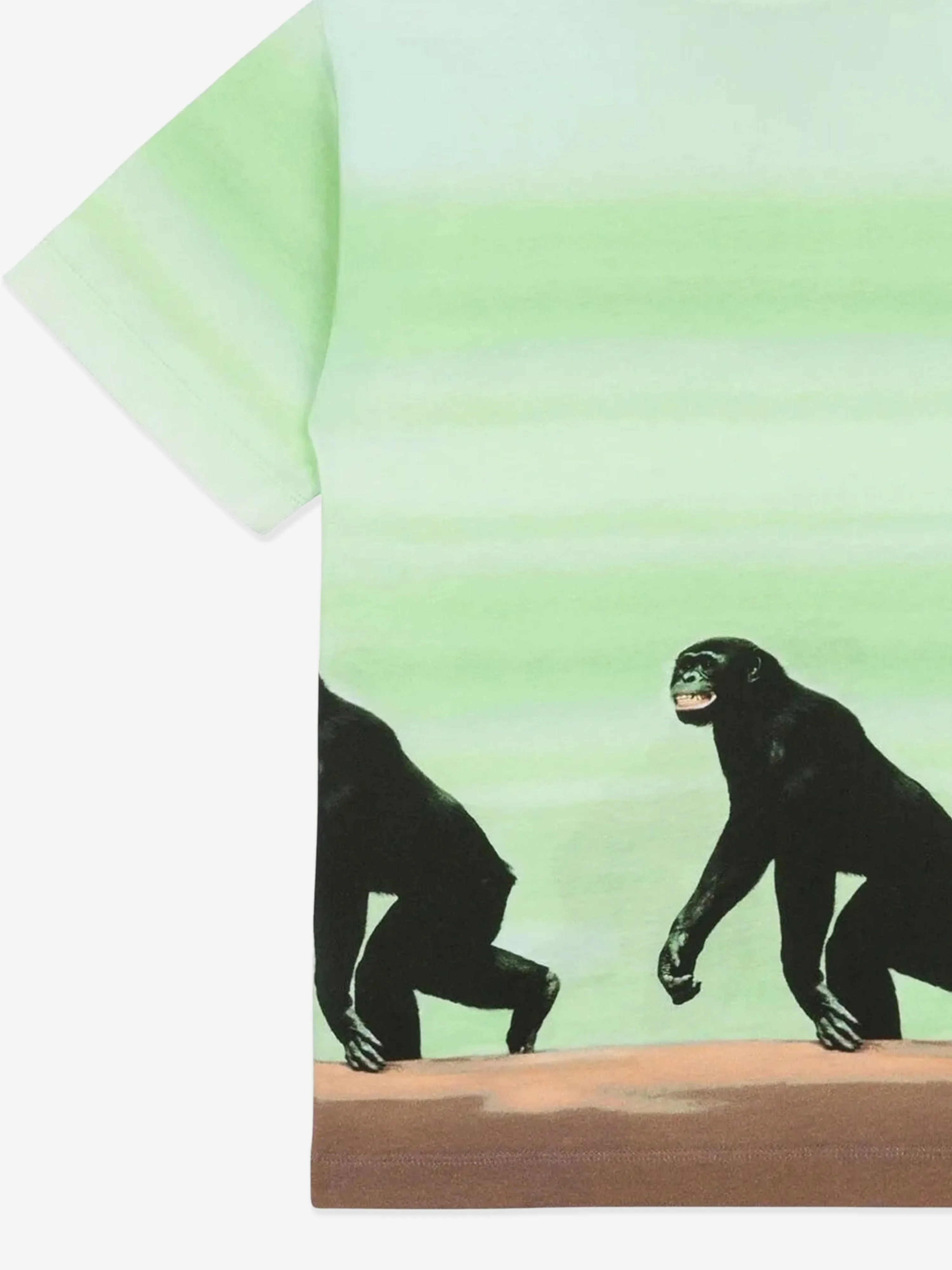 Boys Striped Monkey Print T-Shirt in Green