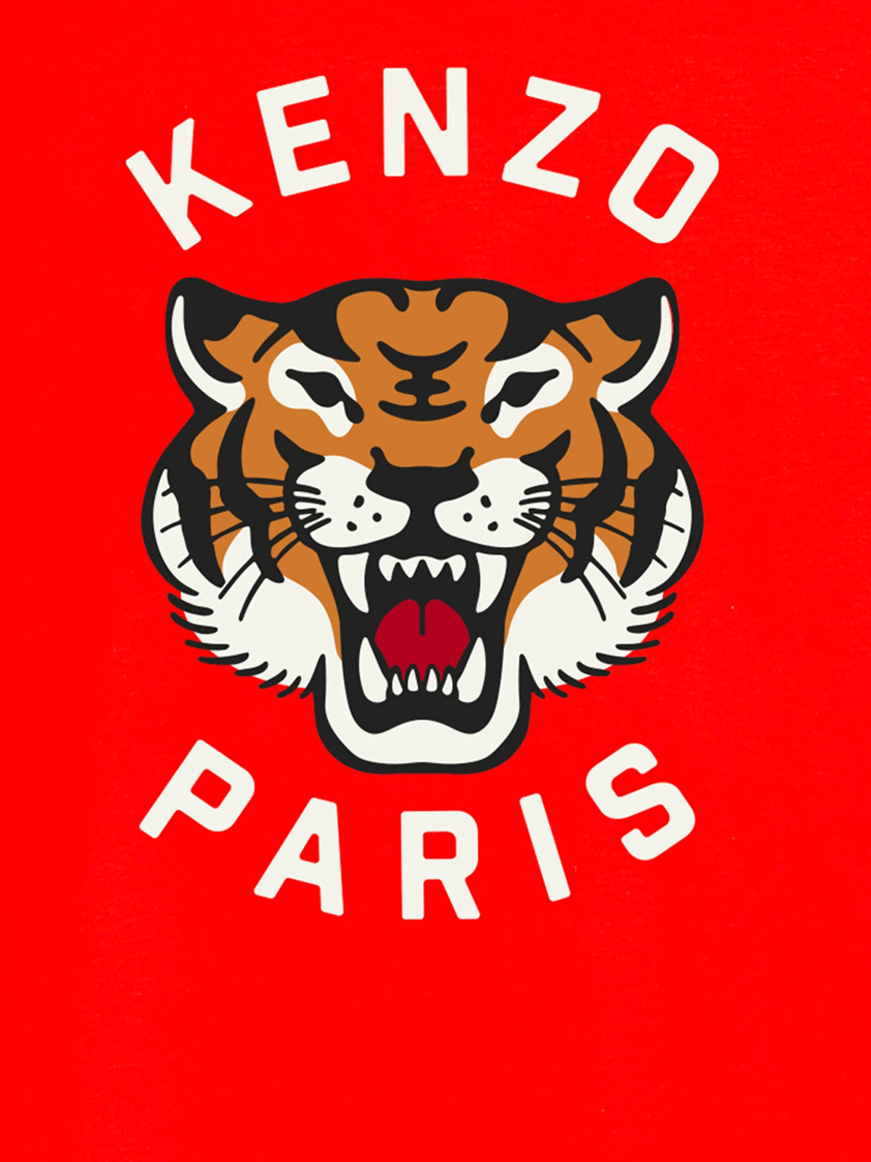 Boys Tiger T-Shirt in Red