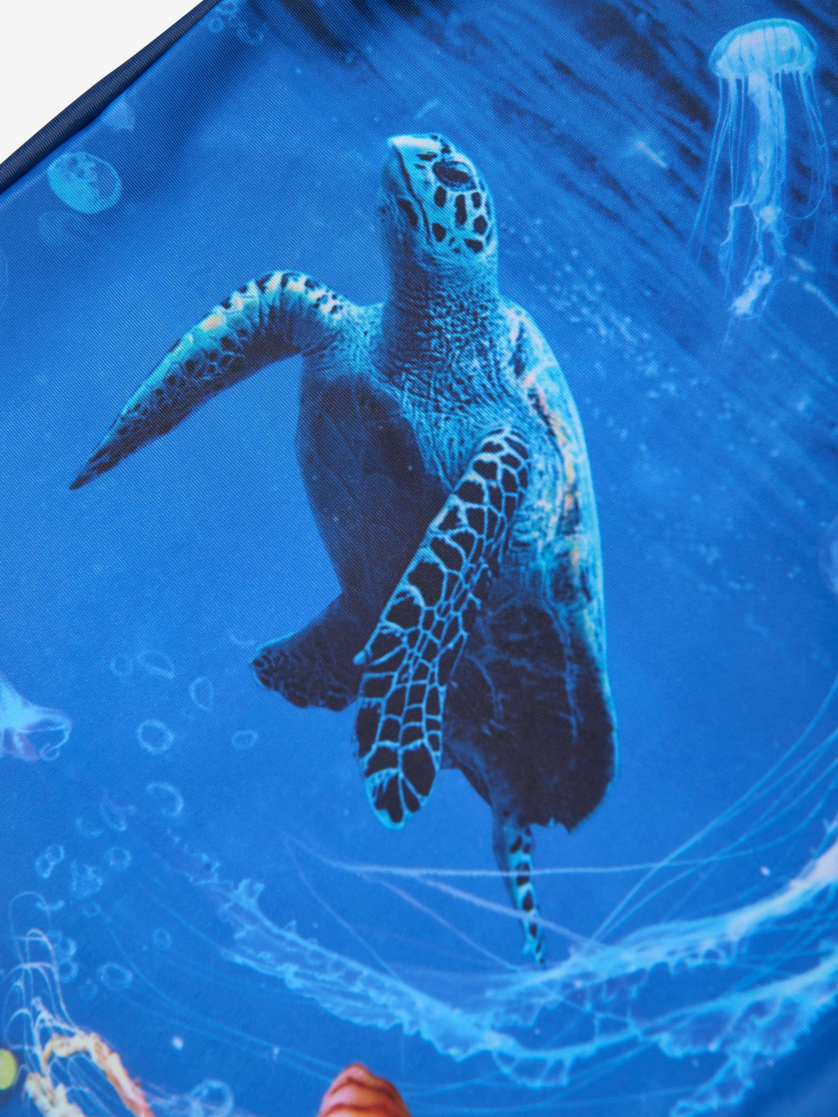 Boys Turtle Rash Guard in Blue (UPF50 )