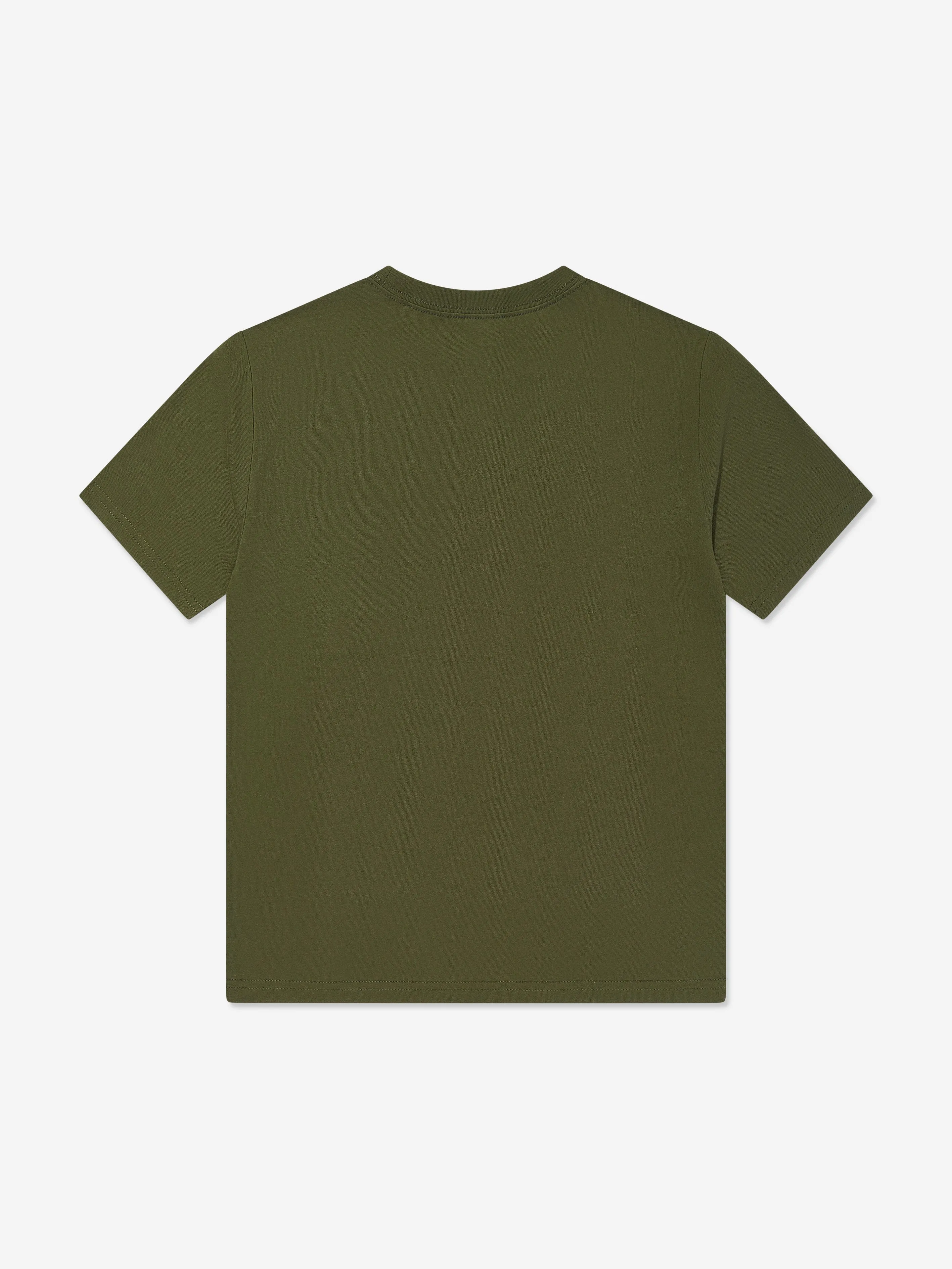 Ralph Lauren Boys Logo T-Shirt in Green