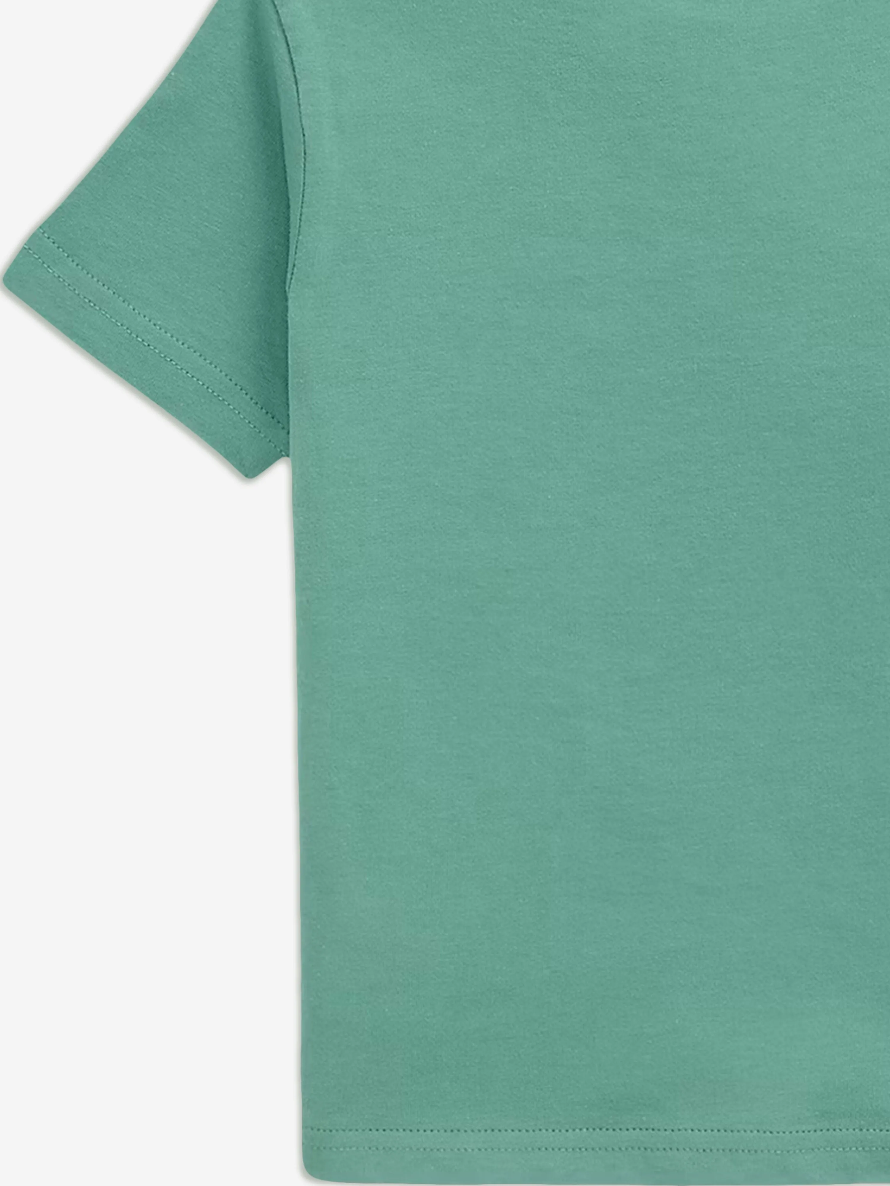 Ralph Lauren Boys Polo Bear T-Shirt in Green